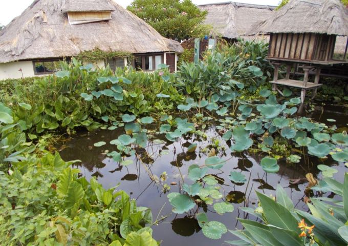 The villas are located in gardens containing fish-filled ponds.