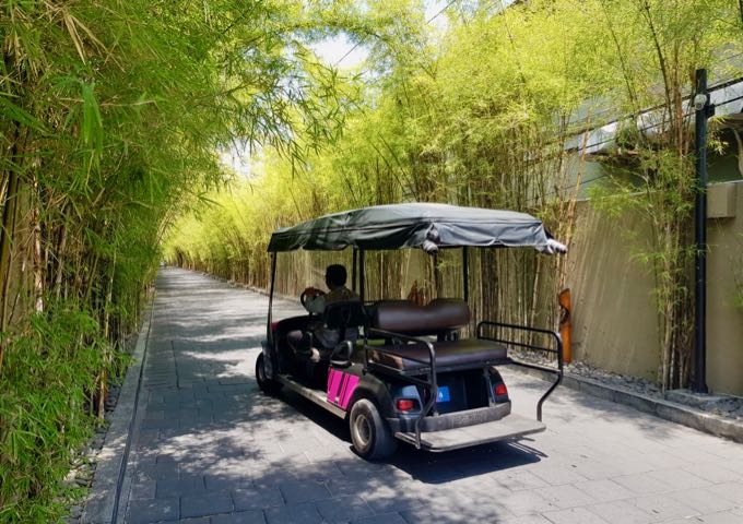 Guests can use buggies to get to the resort from the main road.