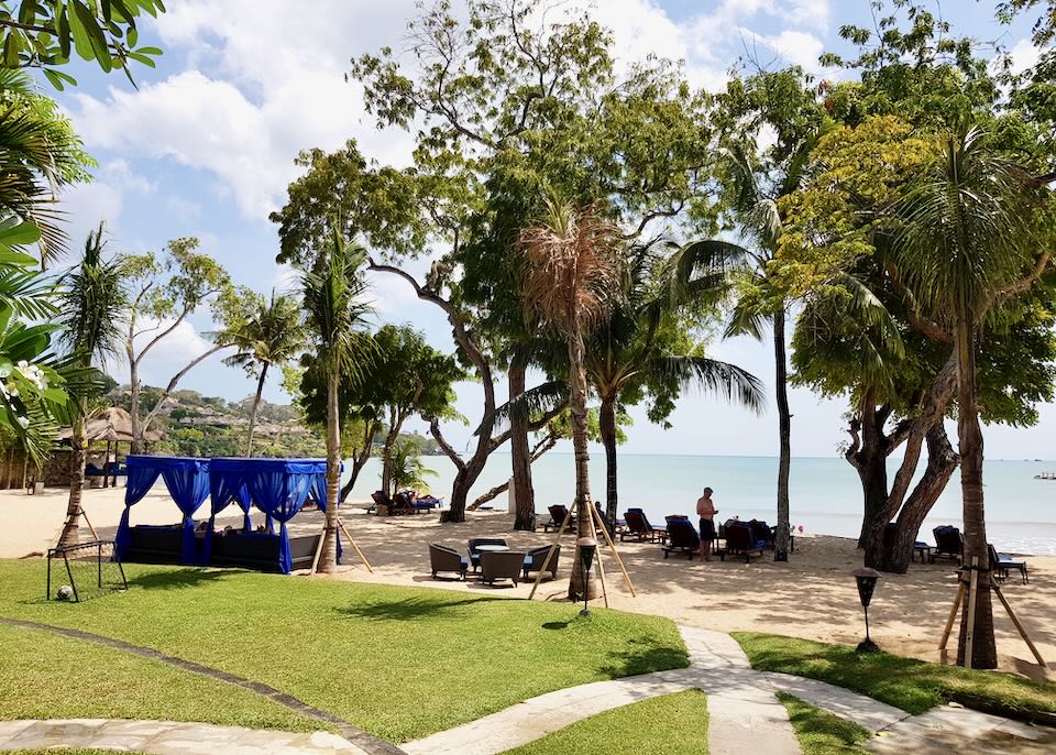 Sunbeds and chairs sit under trees at the Coconut Grove beach club.