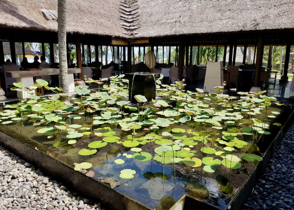 A lily pond sits in the middle of a restaurant.