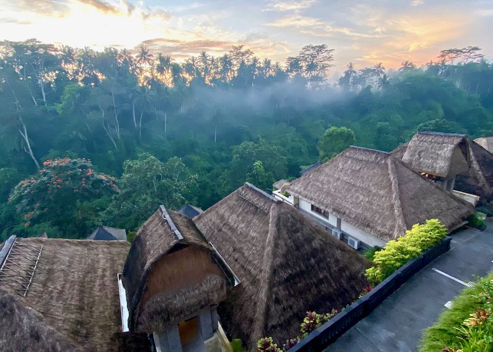 Thatched roof villas sit in the jungle.