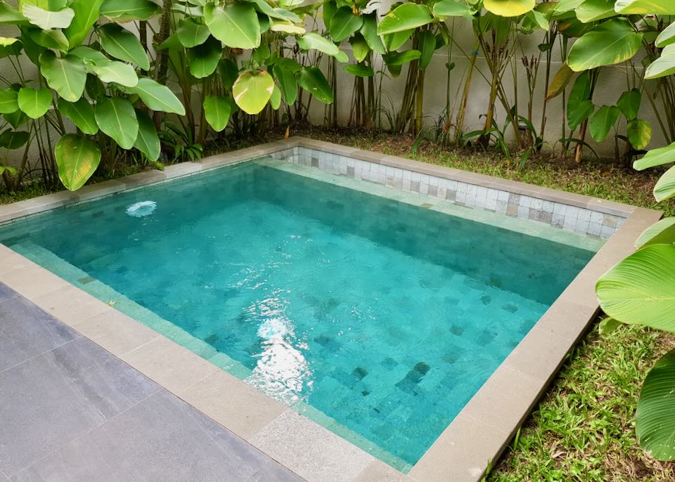 A small square pool lined with plants.
