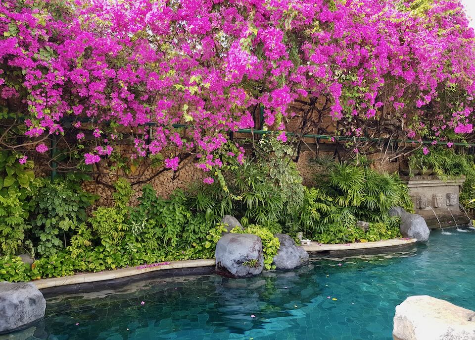 Pink flowers bloom over the pool.