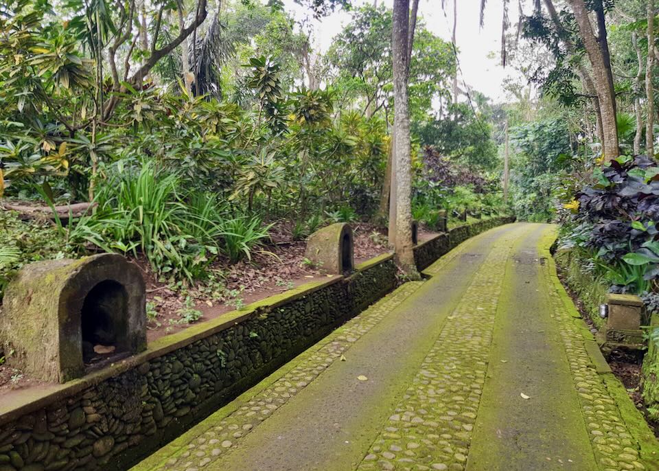 A narrow road is covered in moss.