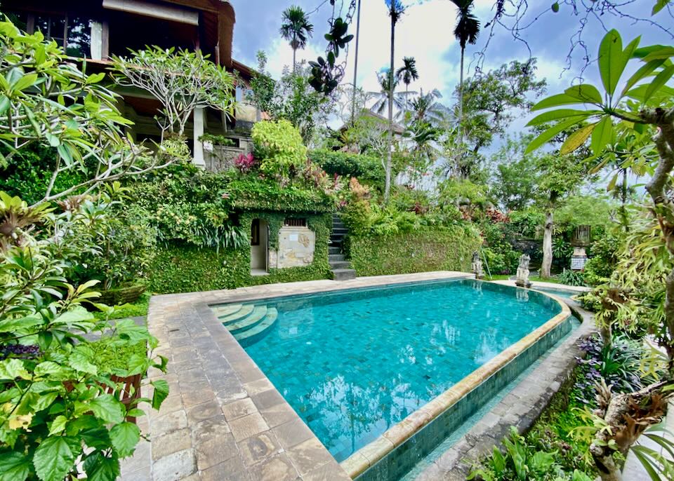A pool sits in the jungle.