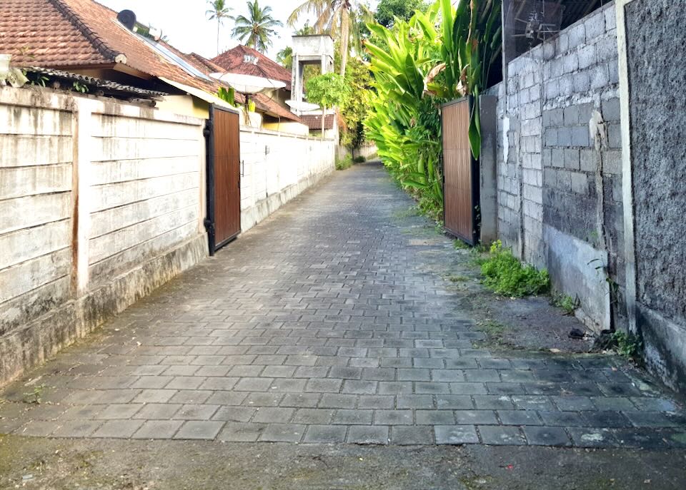 A small brick road leads behind houses.