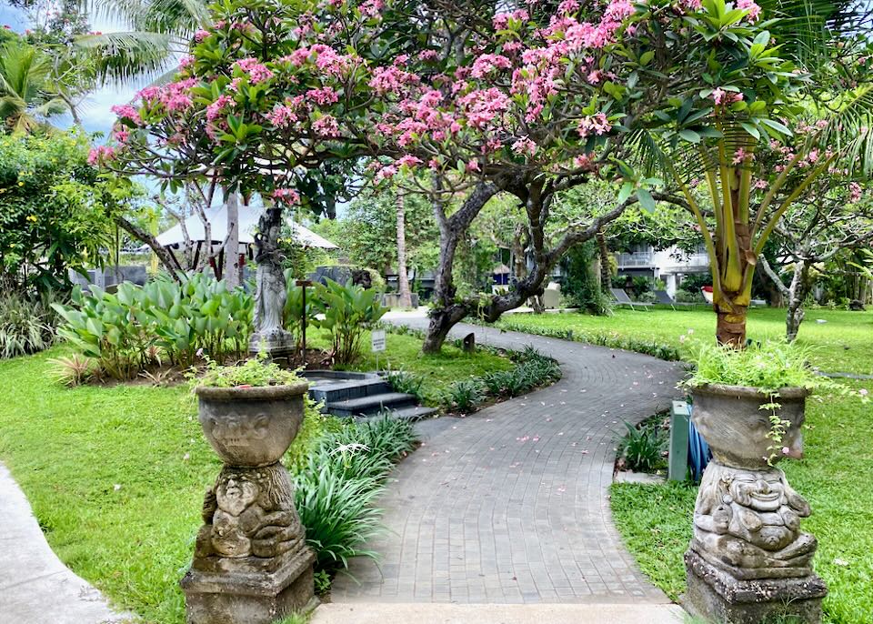 A stone walkway is lined with blooming trees.