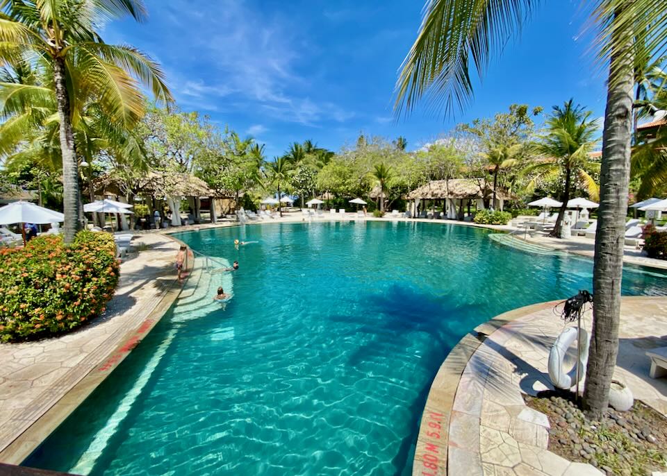 A large pool surrounded by palm trees.