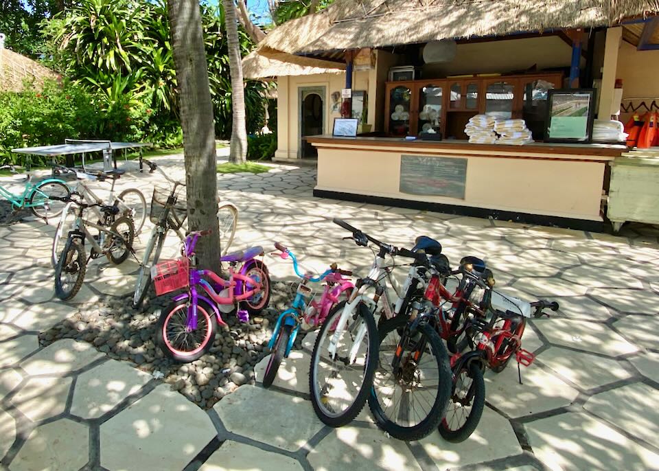 A row of small and large bikes sit by a tree.